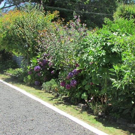 Cozy Haven - Waihi Apartamento Exterior foto