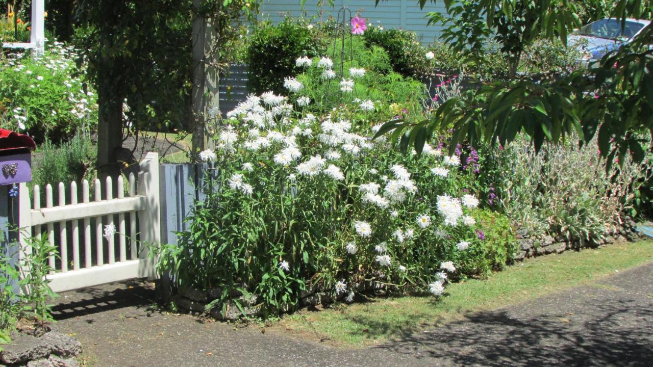 Cozy Haven - Waihi Apartamento Exterior foto