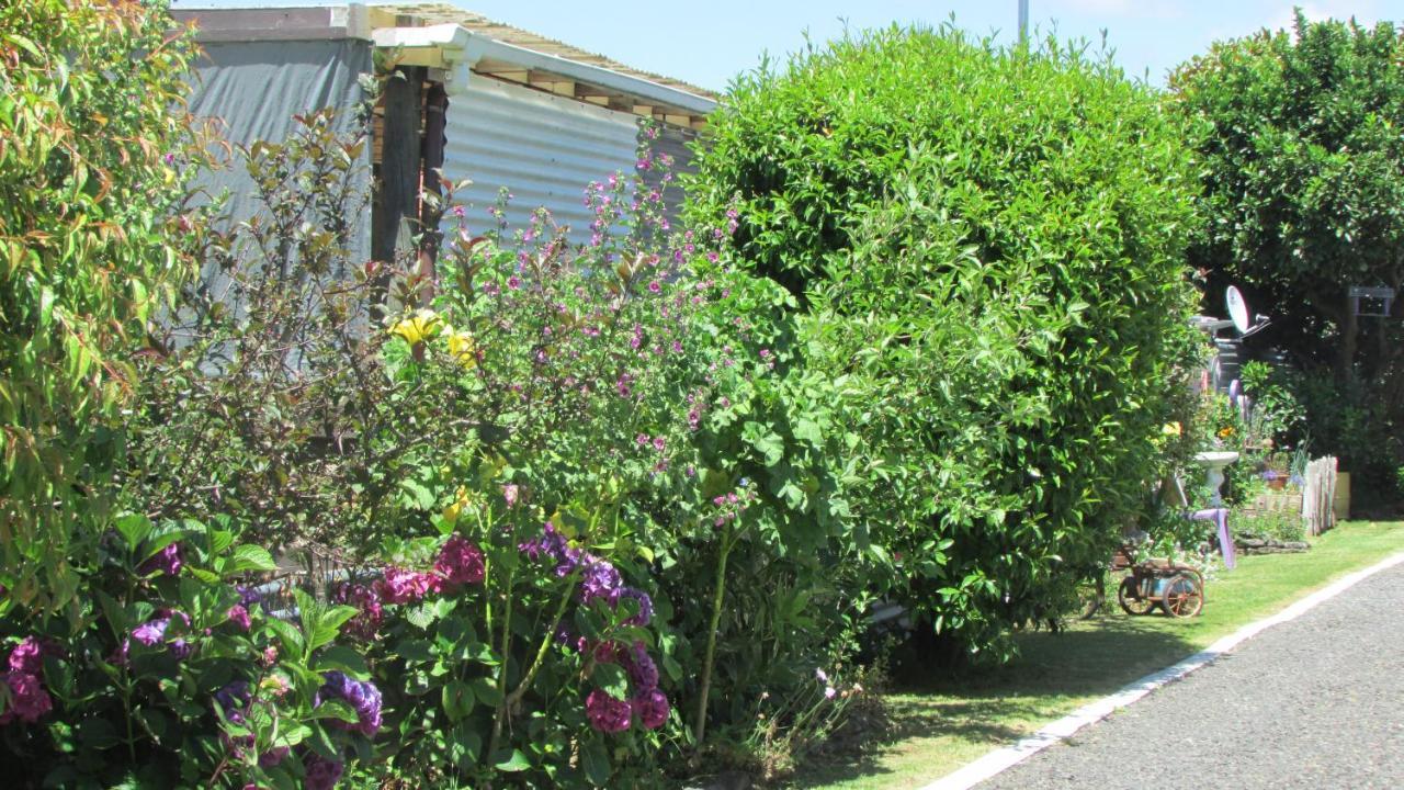 Cozy Haven - Waihi Apartamento Exterior foto